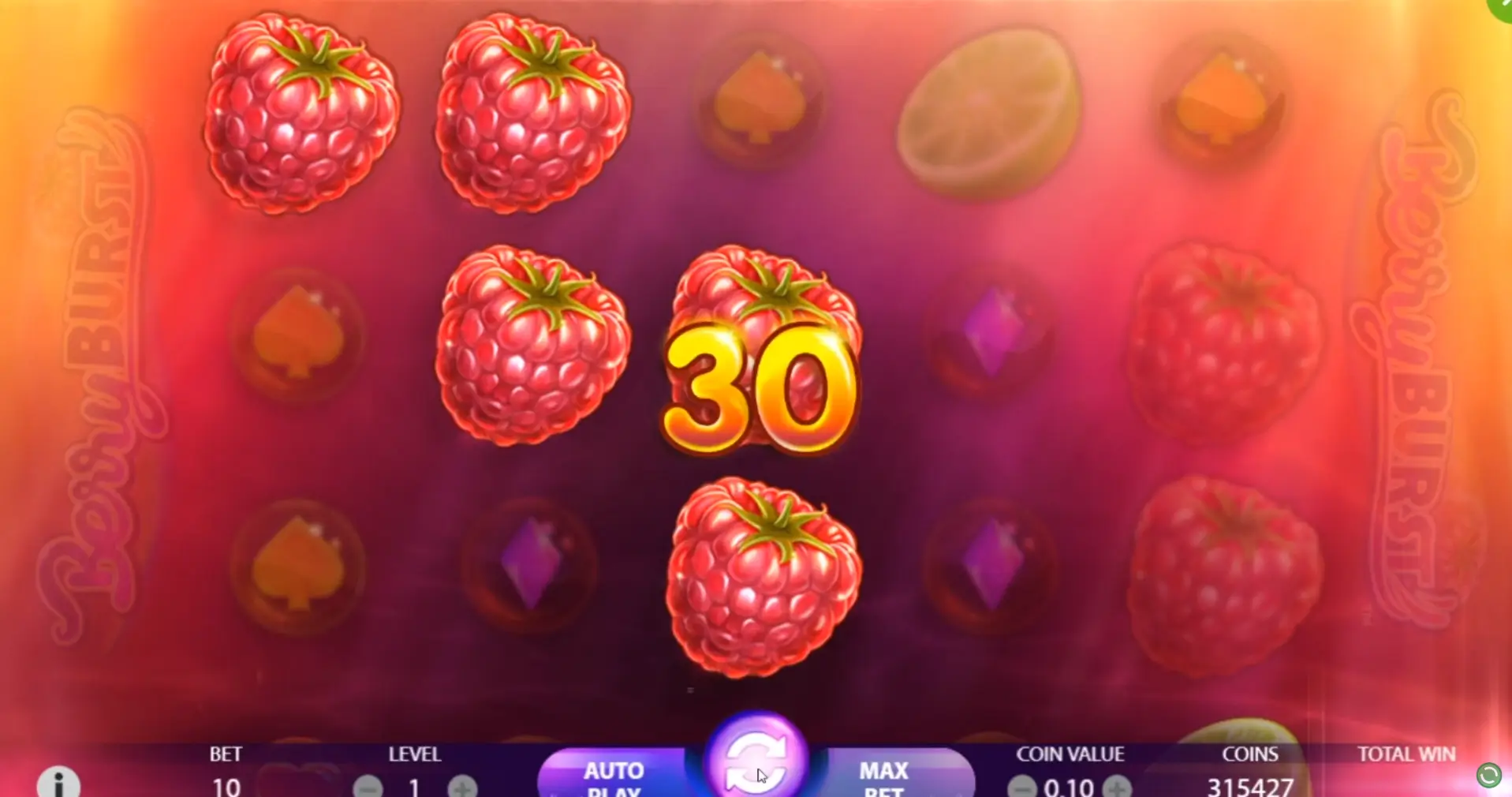 Berry Burst Max Game ScreenShot